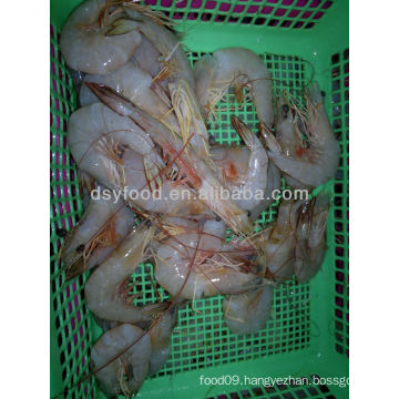 Frozen King Banana Prawn Price